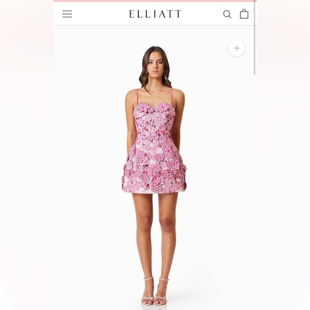 OMR x ELLIATT: Roseate 3D Floral Mini Dress In Pink